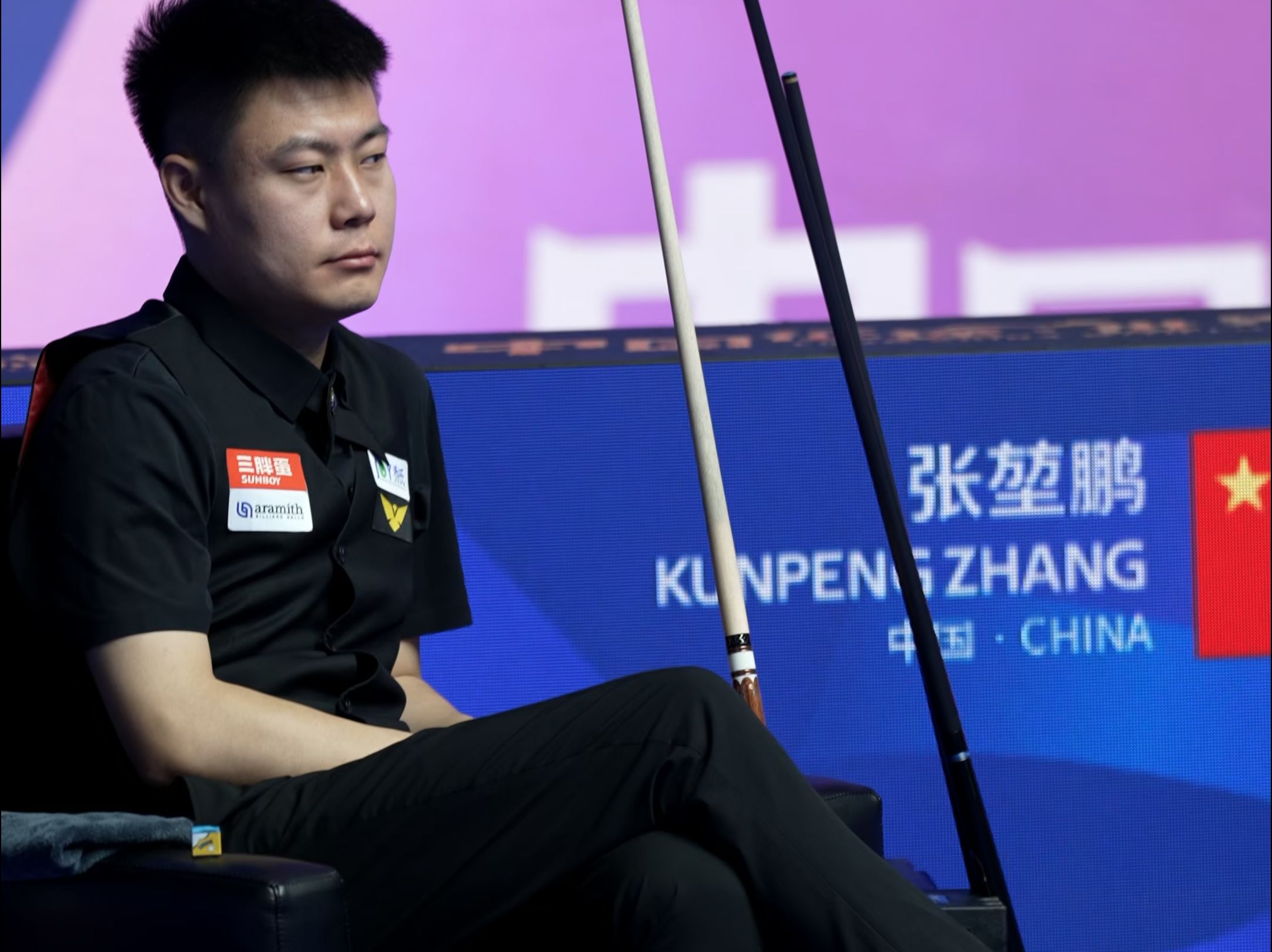 它们将成为 它们将成为