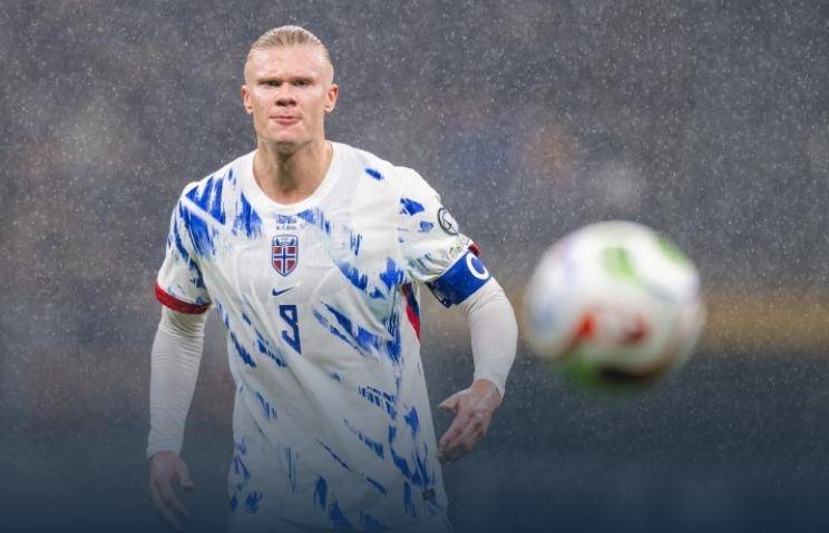 赖斯能组织 赖斯能组织